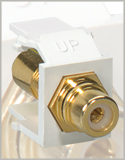Leviton - 40830-B** RCA QuickPort Connectors with choice of Black, Red, Green, Blue or Yellow Stripe